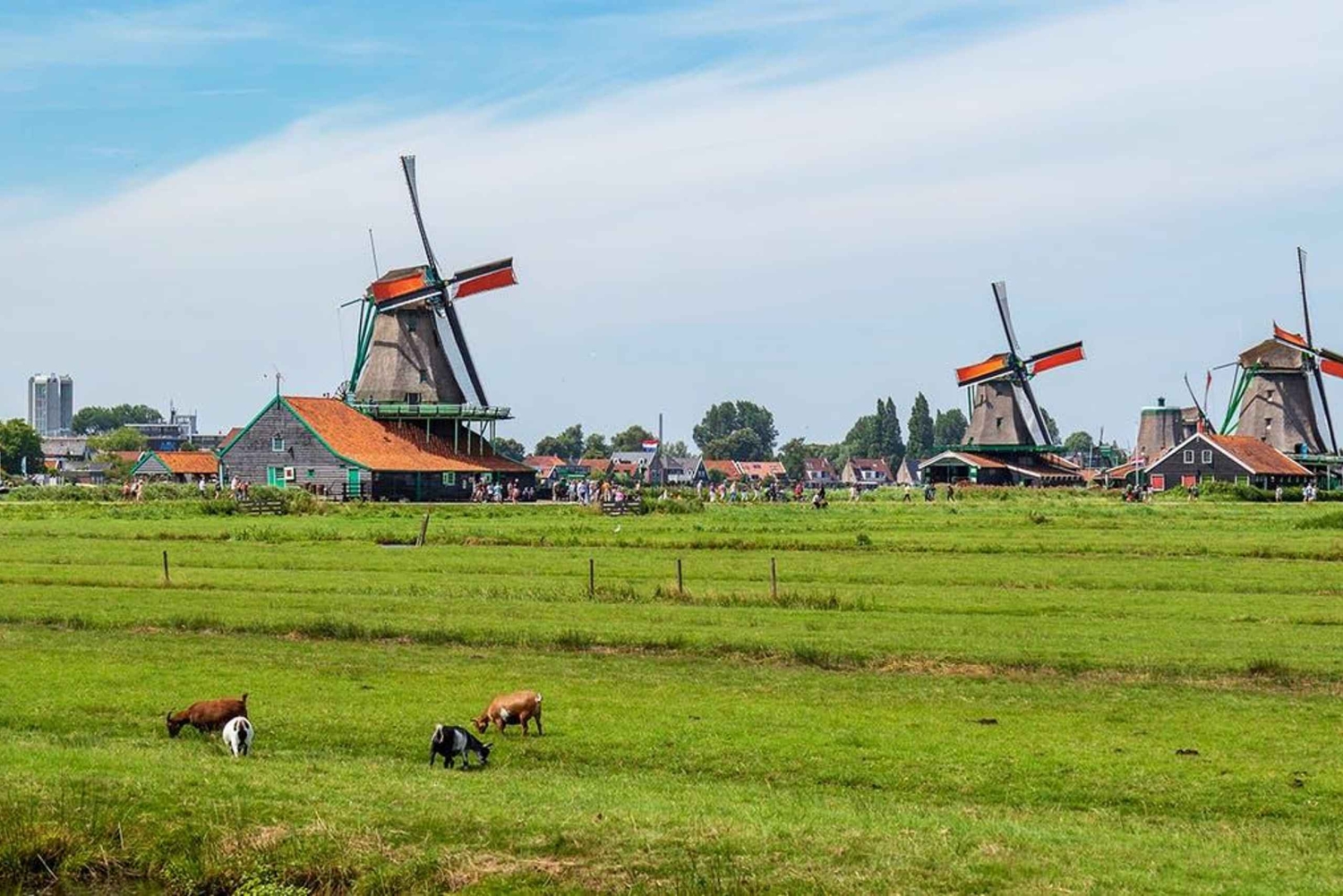 Passeio a pé pela cidade de Amesterdão e moinhos de vento Zaanse Schans