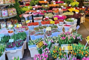 Passeio a pé pela cidade de Amesterdão e moinhos de vento Zaanse Schans