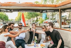 Amsterdam: Crucero Clásico en Barco con Opción de Queso y Vino