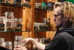 Amsterdam: Coffee Shops Walking Tour