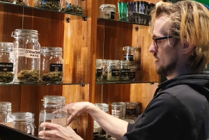 Amsterdam: Byvandring i kaffebarer