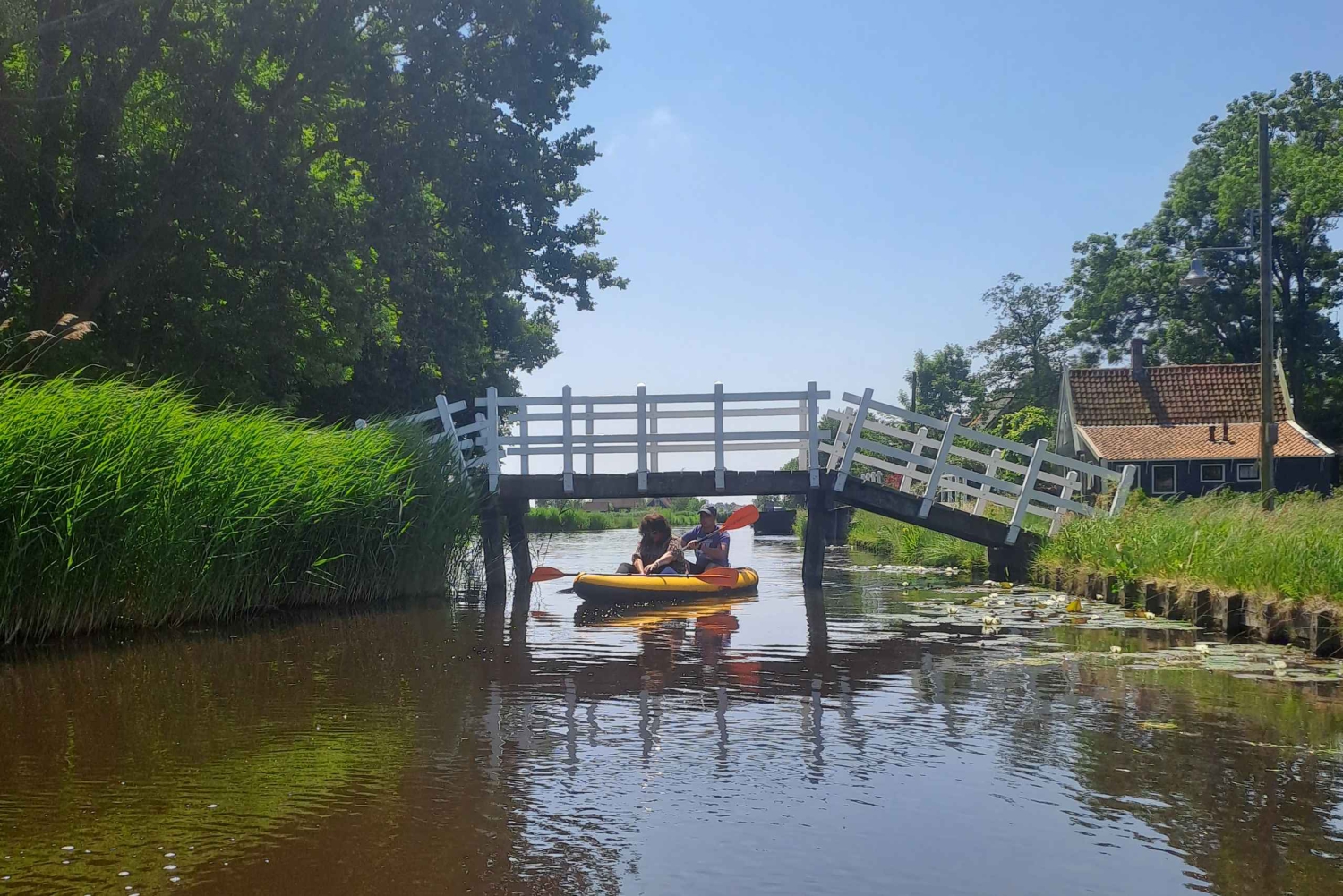 Amsterdam: Guidet tur med sykkel og kajakk på landsbygda