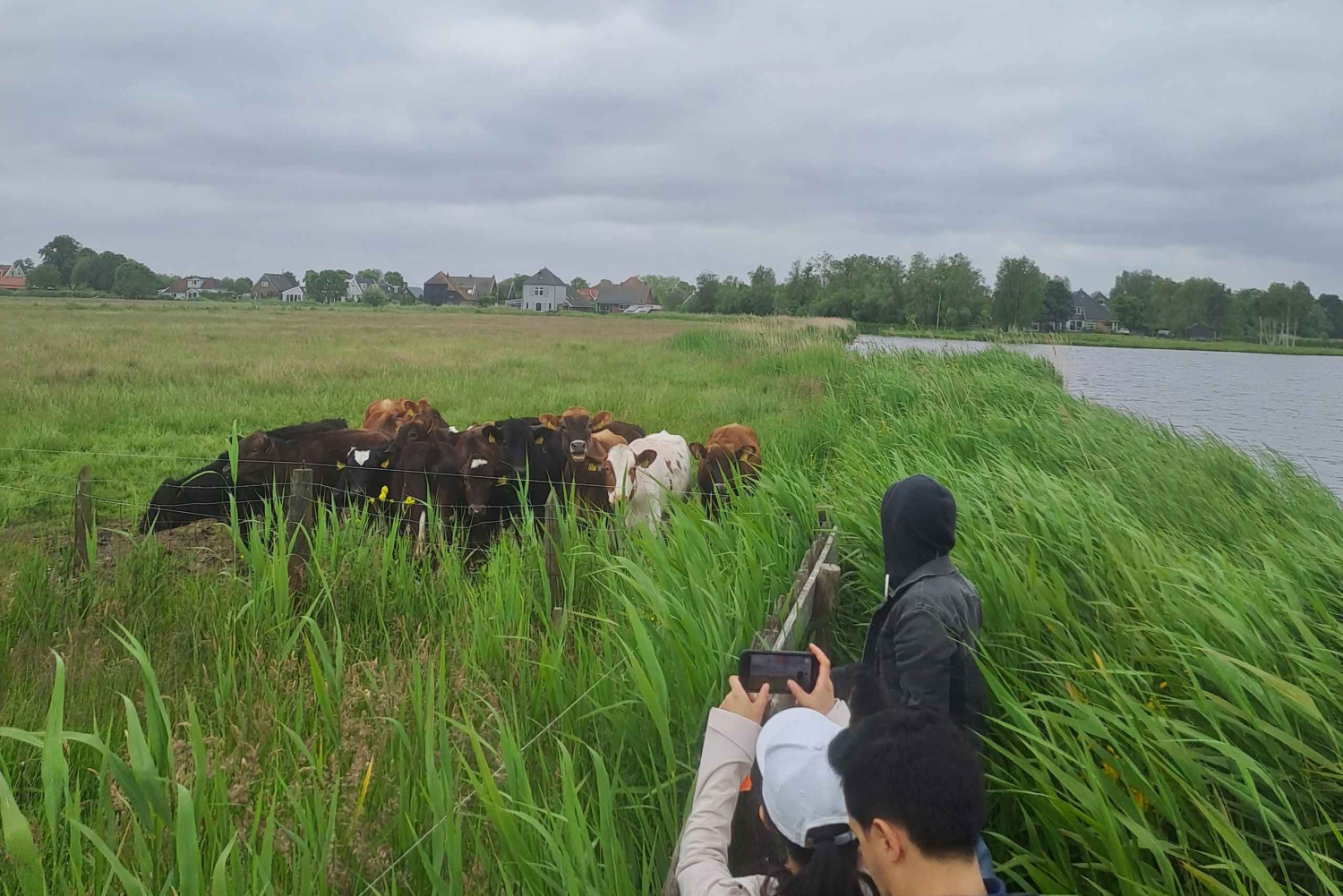 Amsterdam: Guidet tur med sykkel og kajakk på landsbygda