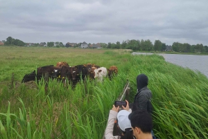 Amsterdam: Guidet tur med sykkel og kajakk på landsbygda