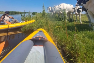 Amsterdam: Guidet tur med sykkel og kajakk på landsbygda