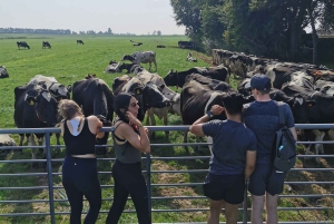 Amsterdam: Guidet tur med sykkel og kajakk på landsbygda