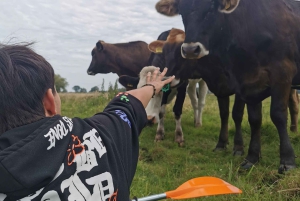 Amsterdam: Guidet tur med sykkel og kajakk på landsbygda