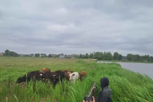 Amsterdam - guidning Guidad cykel- och kajaktur på landsbygden