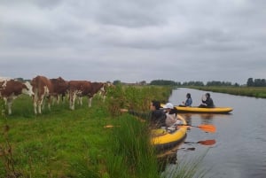 Amsterdam - guidning Guidad cykel- och kajaktur på landsbygden