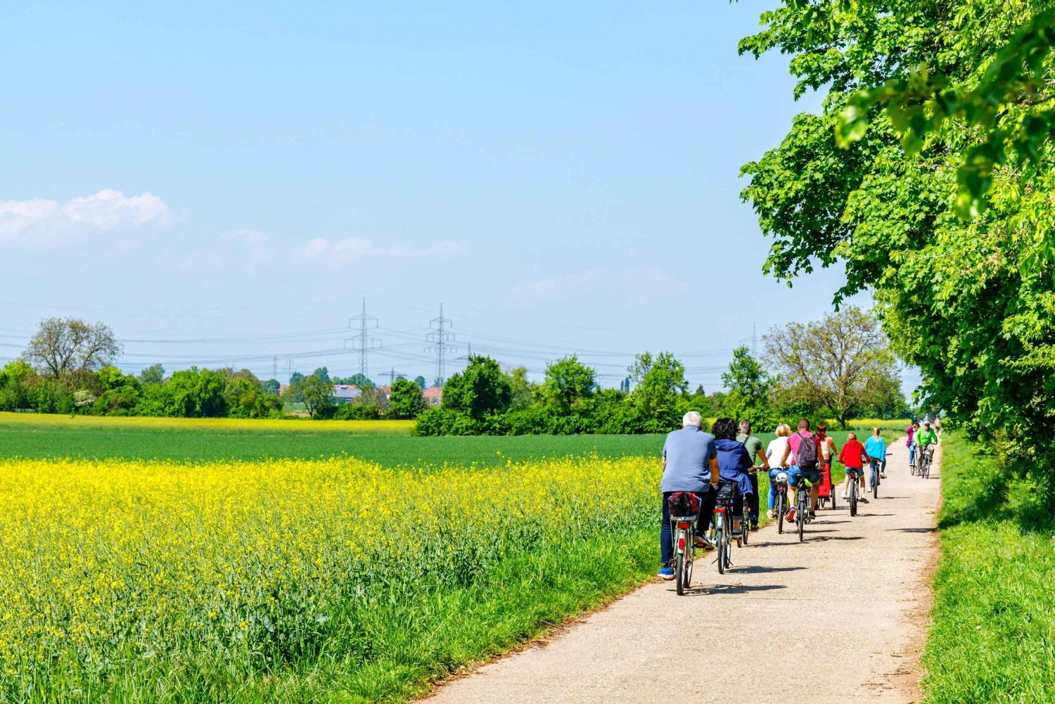 Desde Ámsterdam: Excursión rural en bicicleta con cata de quesos