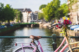 Amsterdam: Countryside Bike Tour