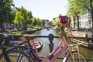 Amsterdam: Countryside Bike Tour