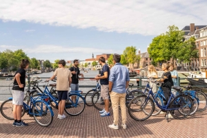 Amsterdam: Cykeltur på landet