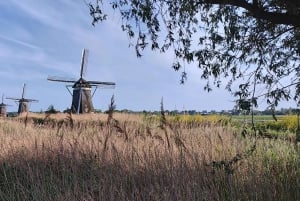 Visite privée d'Amsterdam et de la campagne en voiture de luxe