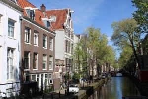 Amsterdam: Customized private walking tour (1, 2 or 3 hours)
