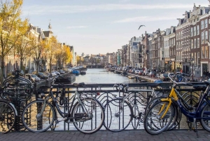 Amsterdam: Rundvandring på Dam och Red Light District