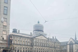 Amsterdam: Day City tour with local Guide in German