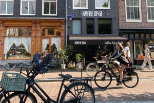 Dagtour Amsterdam: wandeling door het Rijksmuseum en de Jordaan