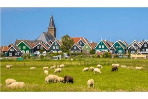 Amsterdam Day Tour: Zaanse Schans, Volendam & Marken