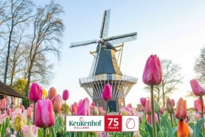 Amsterdam: Day Trip to Flower Parade & Keukenhof on April 12