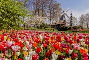 Amsterdam: Day Trip to Flower Parade & Keukenhof on April 12