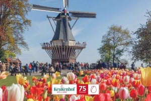 Amsterdam: Day Trip to Flower Parade & Keukenhof on April 12