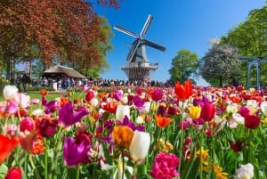 Amsterdam: Day Trip to Flower Parade & Keukenhof on April 12