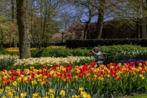 Amsterdam: Day Trip to Flower Parade & Keukenhof on April 12