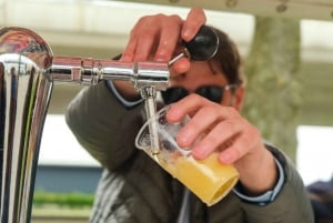 Amsterdam: Dutch Beer Bike Blast Tour with Onboard Bar