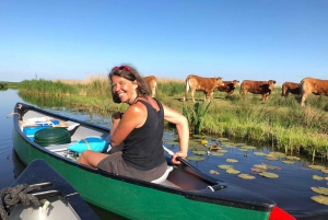 Amsterdam: Dutch Countryside Sunset Canoe Tour