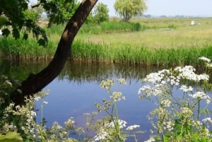 Amsterdam: Dutch Countryside Sunset Canoe Tour