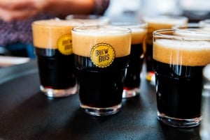 アムステルダム：チーズとスナック付きガイド付きクラフトビール試飲会