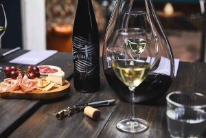 Amsterdam: Degustacja holenderskiego wina z sommelierem