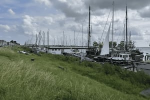 Amsterdam: E-cykel, ost, vindmølle og landskabstur