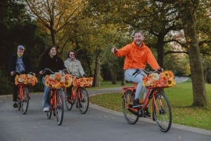 Amsterdam: E-cykel, ost, vindmølle og landskabstur