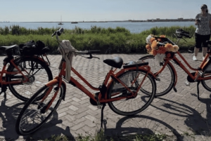 Amsterdam: E-cykel, ost, vindmølle og landskabstur