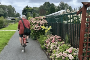 Amsterdam: E-cykel, ost, vindmølle og landskabstur