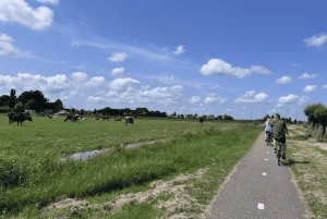 Amsterdam: E-cykel, ost, vindmølle og landskabstur
