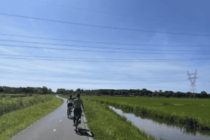 Amsterdam: E-cykel, ost, vindmølle og landskabstur