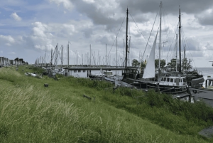 Amsterdam: E-cykel, ost, vindmølle og landskabstur