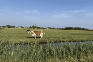 Amsterdam: E-cykel, ost, vindmølle og landskabstur