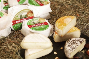 Amsterdam: E-cykel, ost, vindmølle og landskabstur