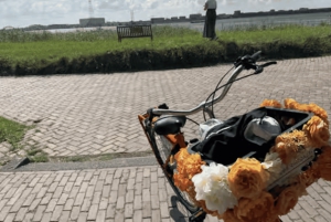 Amsterdam: E-cykel, ost, vindmølle og landskabstur