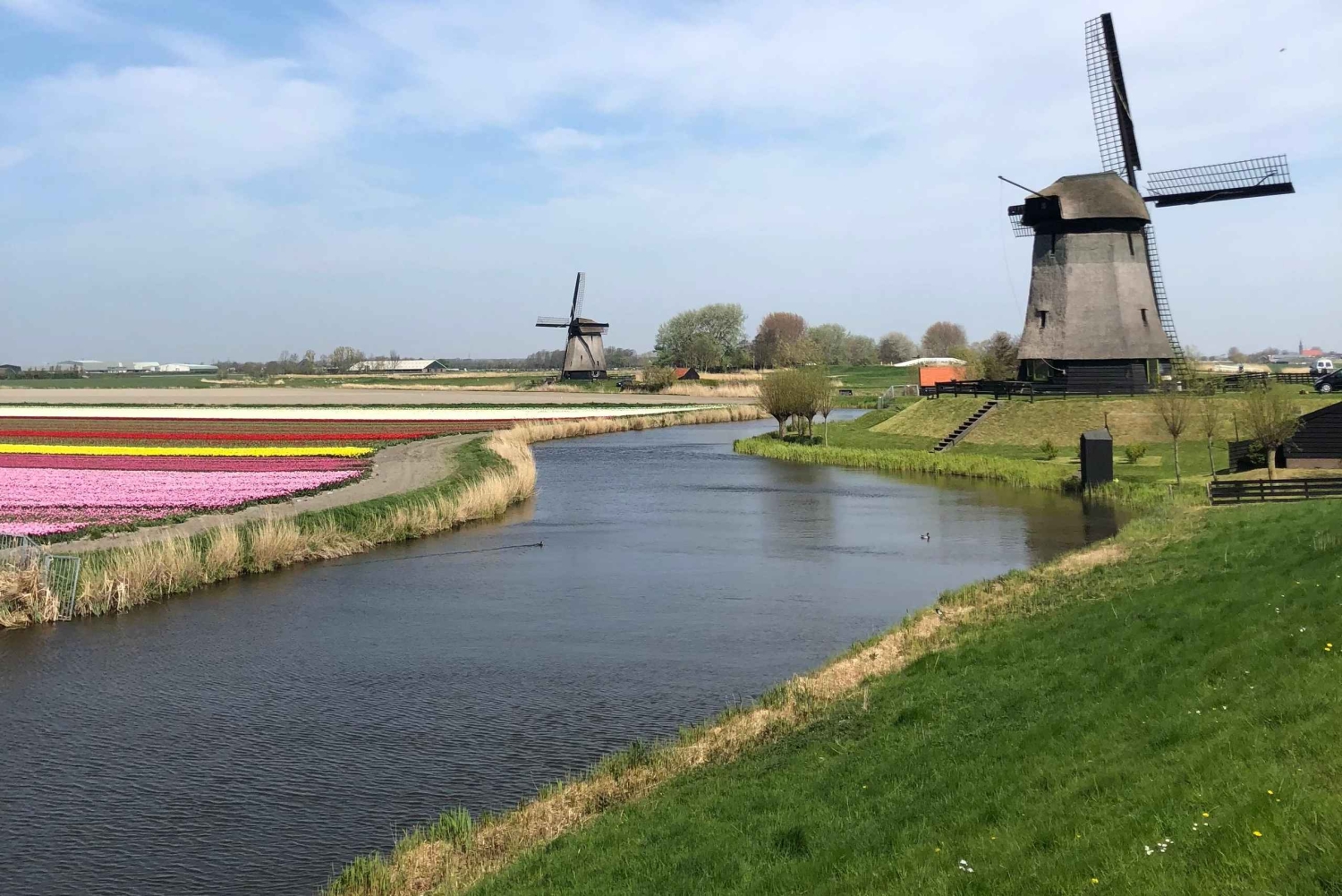 Amsterdam: Aikainen kierros, tuulimylly ja juustonmaistelu pienessä ryhmässä