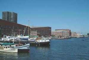 Amsterdam, Eastern Docklands Architecture: Private Tour