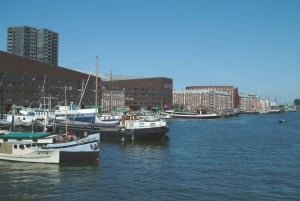 Amsterdam, östliche Docklands Architektur: Private Tour