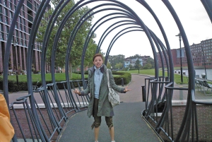 Amsterdam, östliche Docklands Architektur: Private Tour