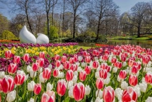 Amsterdam Explorer Pass: Save up to 50% on 3-7 Attractions