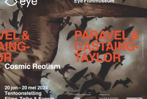 Amsterdam: Eye Filmmuseum Entrance Ticket