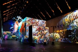 Amsterdam: Fabrique des Lumières Il biglietto d'ingresso al mare